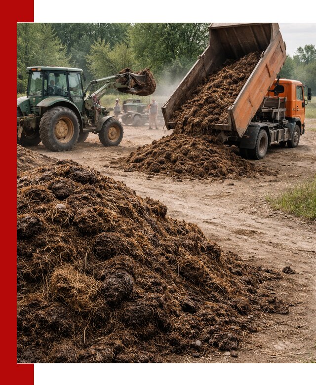 Доставка навоза самосвалами в Гуково для сельхозпотребностей